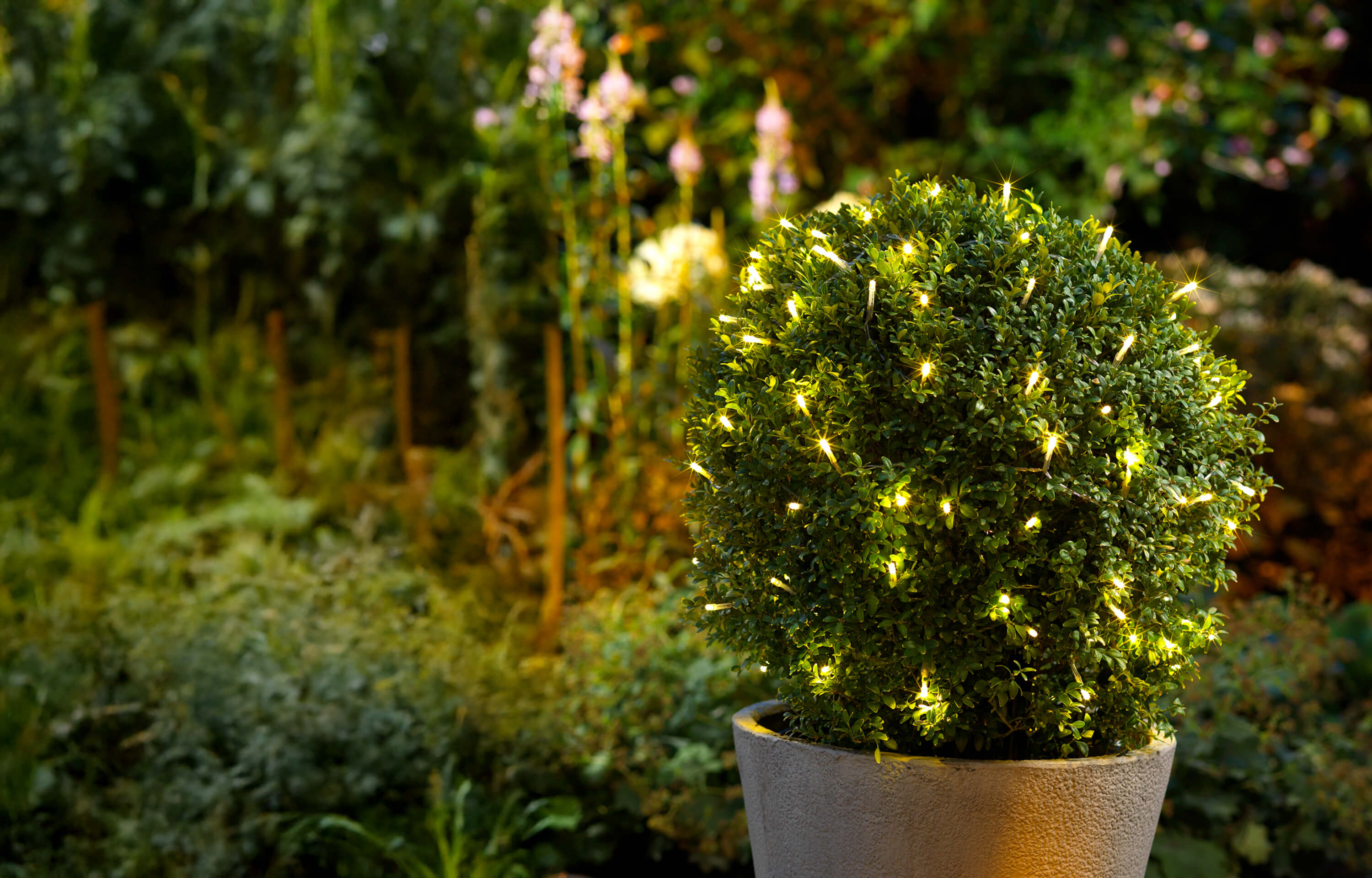 LED-Lichternetz
