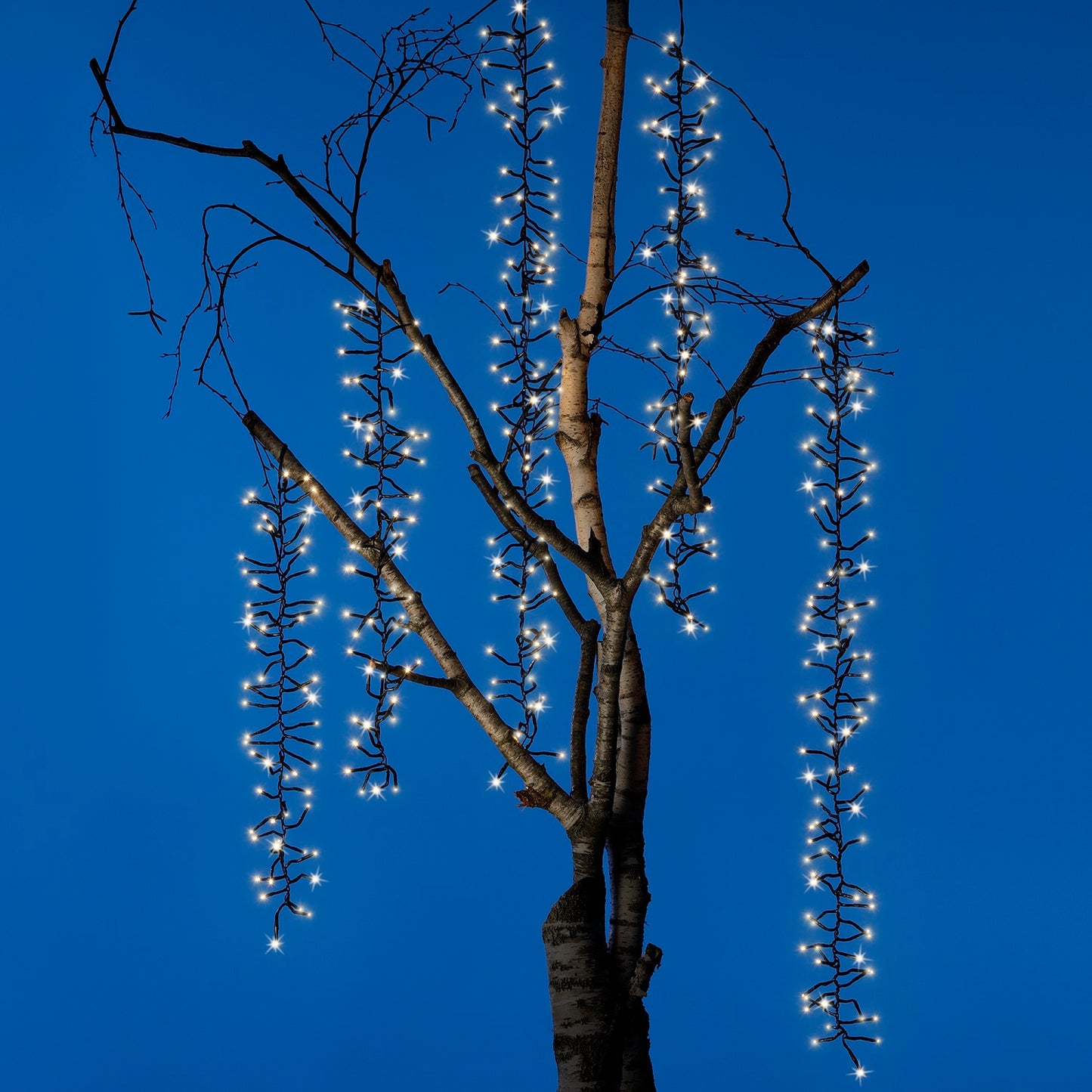 Baum Kaskadenbeleuchtung, Cluster Twinkle 480 LED 6 LED-Stränge, warm weiß
