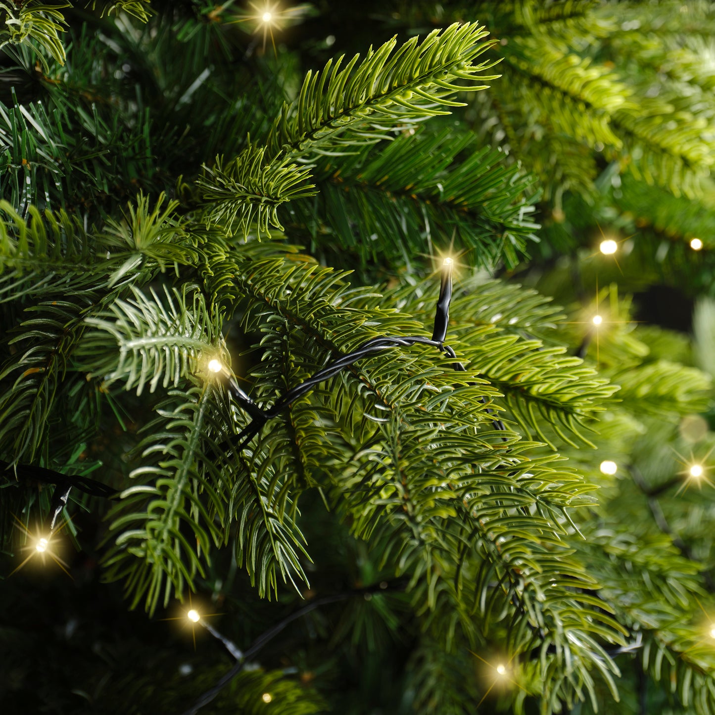 Lichterkette BASIC 180 LED 13,5 m Soft Gold, schwarzes Kabel