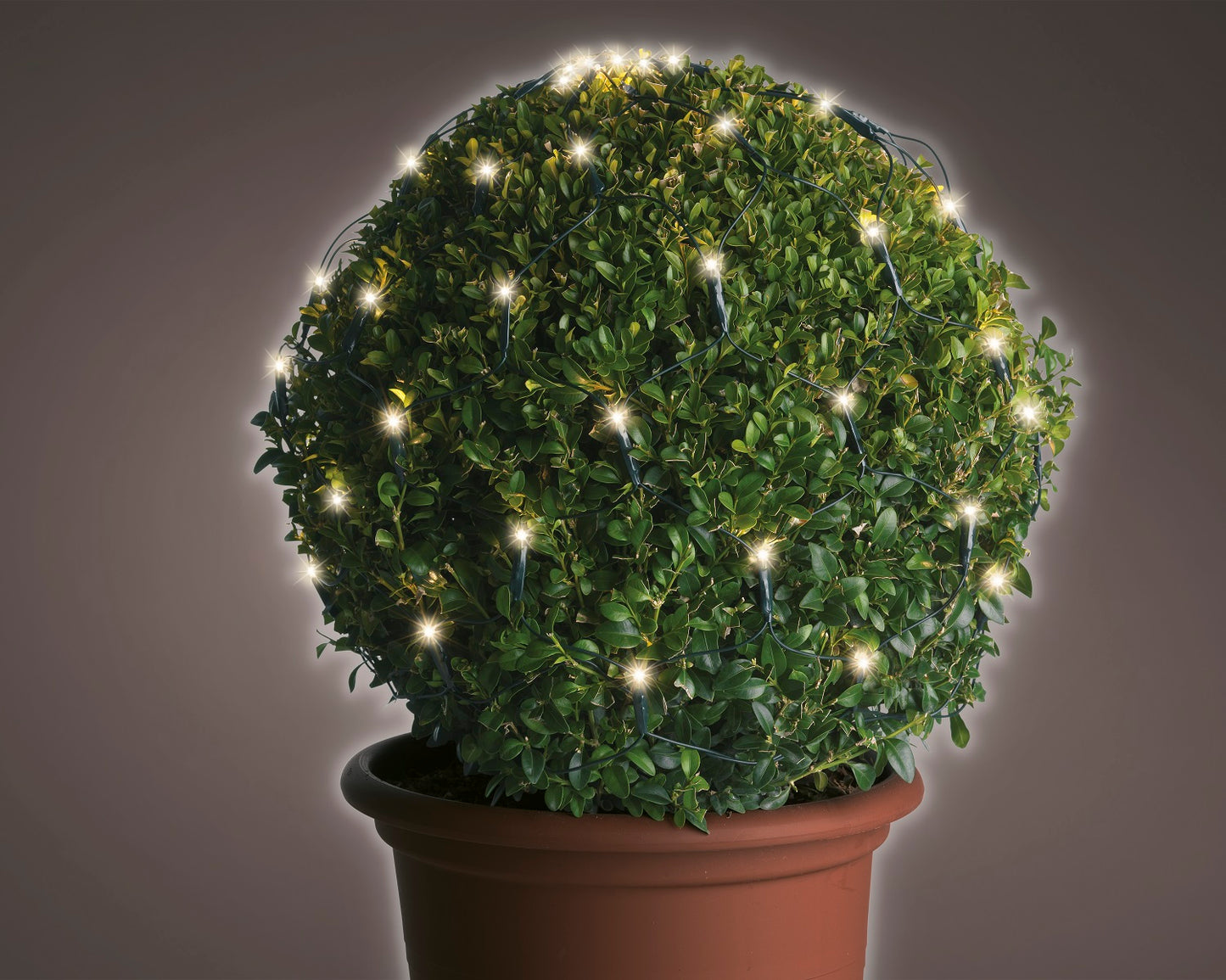 Buchsbaumbeleuchtung 60 LED D: 35 cm, warm weiß, grünes Kabel