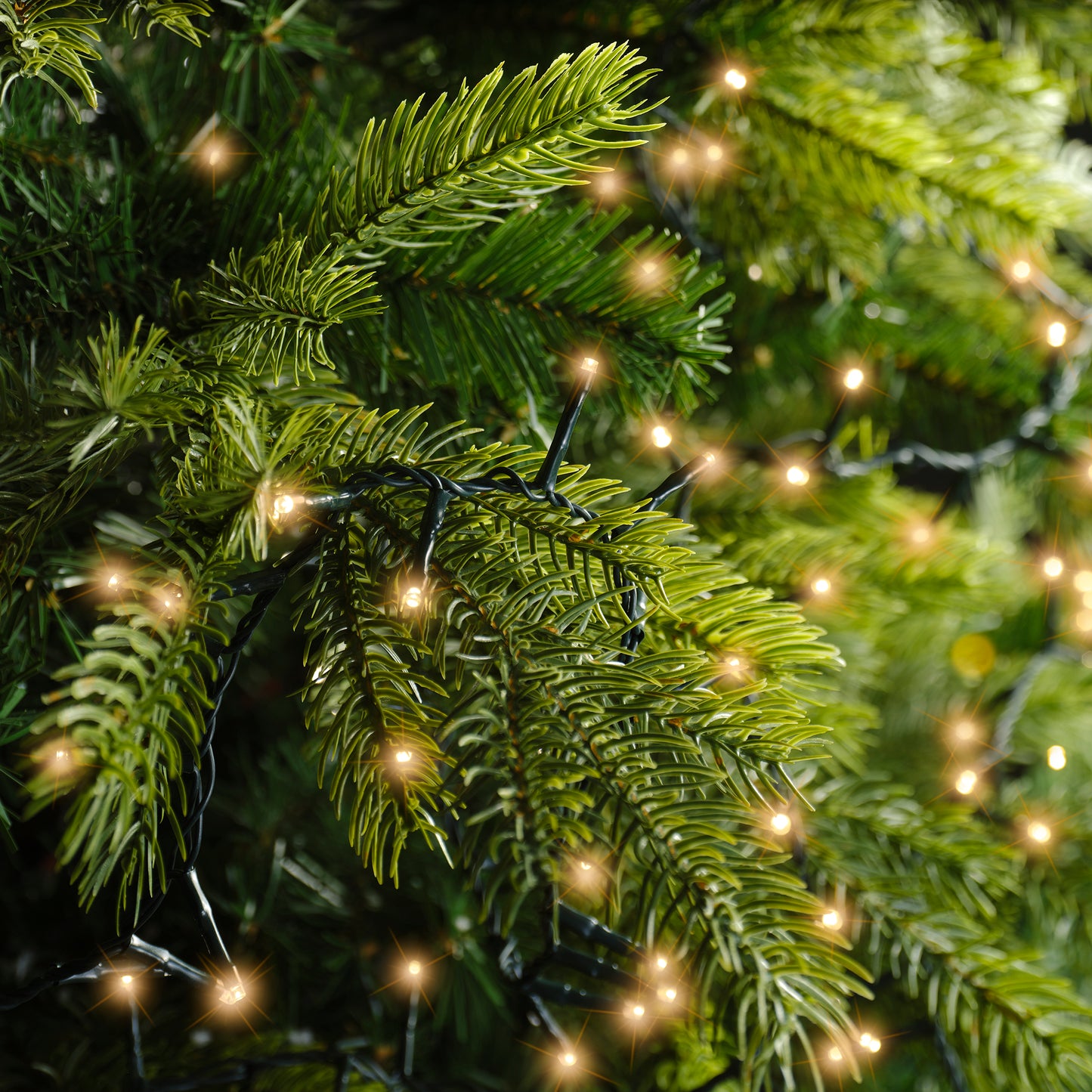 Lichterkette COMPACT 1000 LED 22,5 m klassisch warm, grünes Kabel