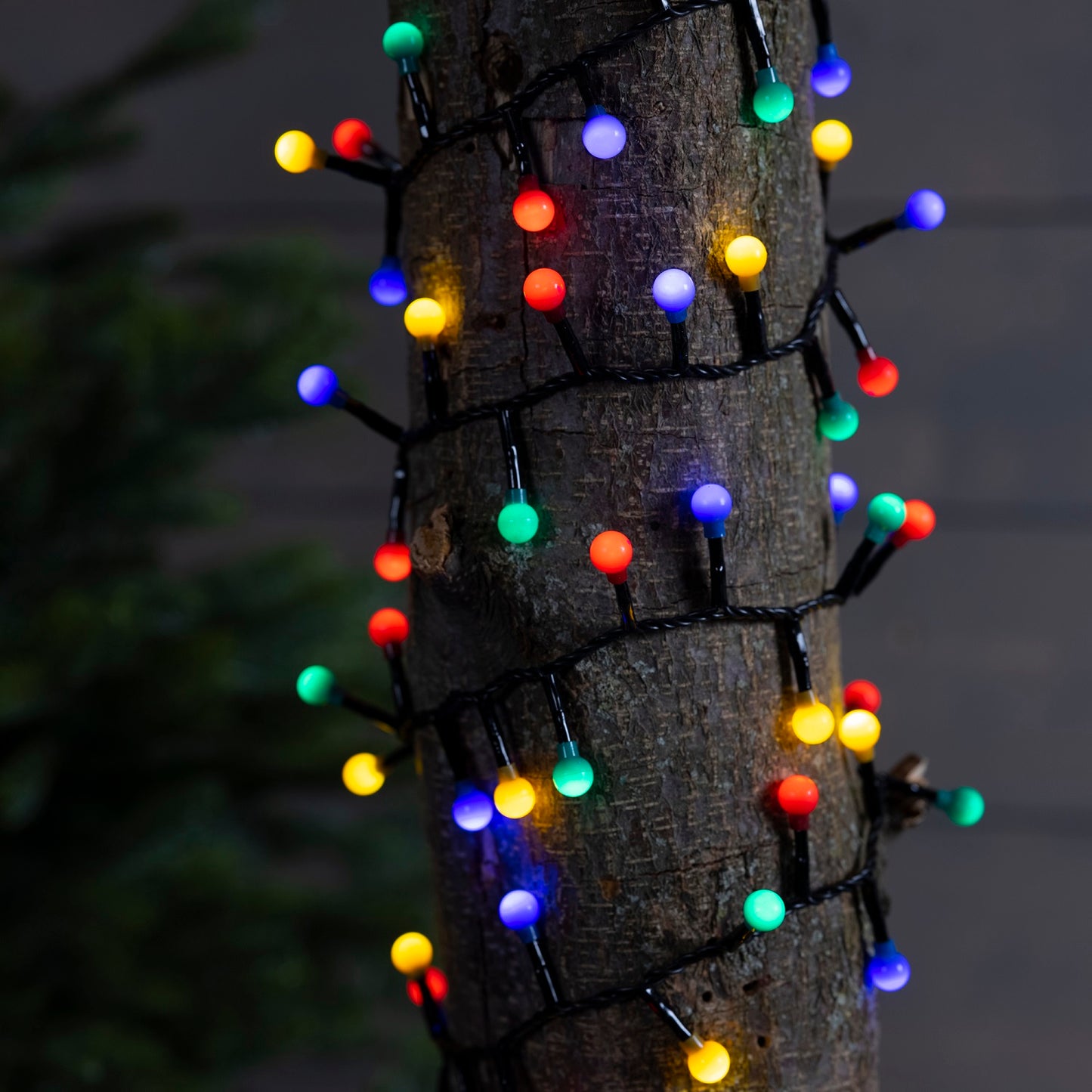 Lichterkette CHERRY Compact Twinkle 350 LED 7,5 m Bunt, schwarzes Kabel