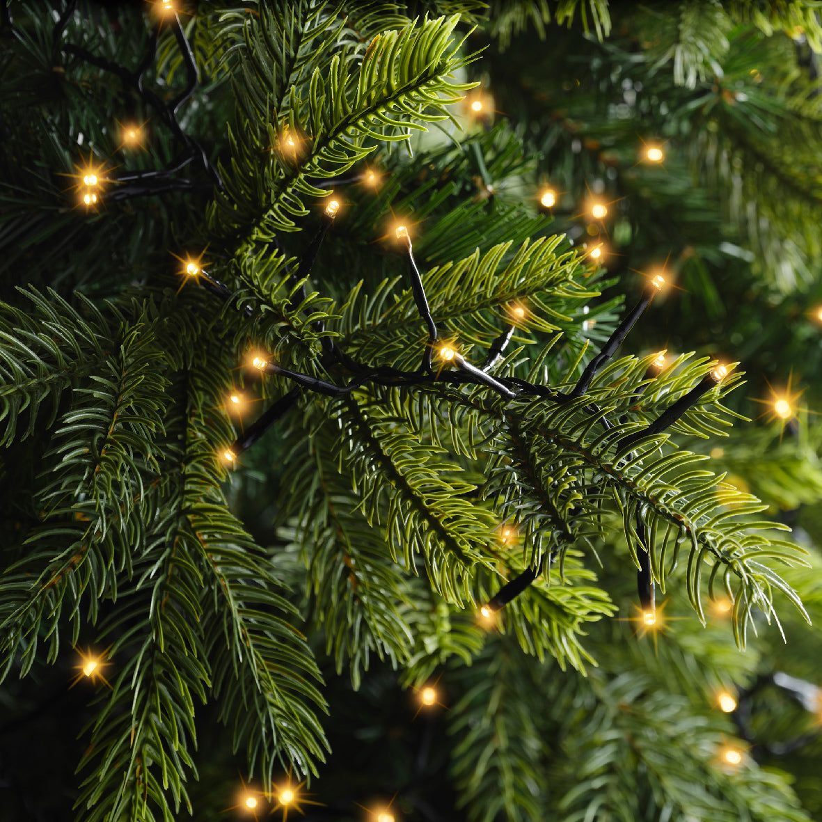 Lichterkette EXCELLENT TWINKLE 1272 LED 20 m klassisch warm, schwarzes Kabel