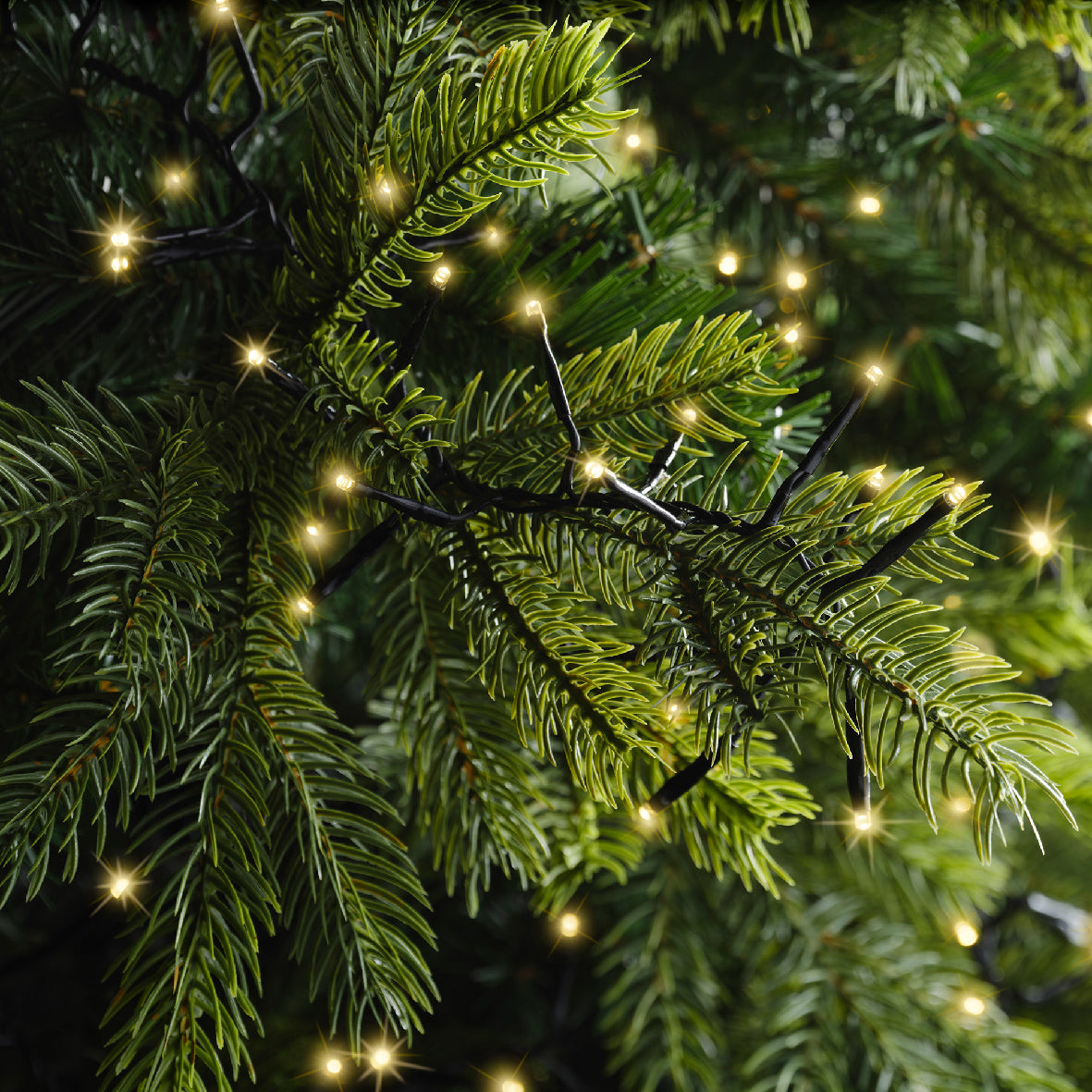 Lichterkette EXCELLENT TWINKLE 2208 LED 35 m Soft Gold schwarzes Kabel