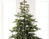 Lichterbündel BUNCH LIGHTS 320 LED 1 m warm weiß, Silberdraht