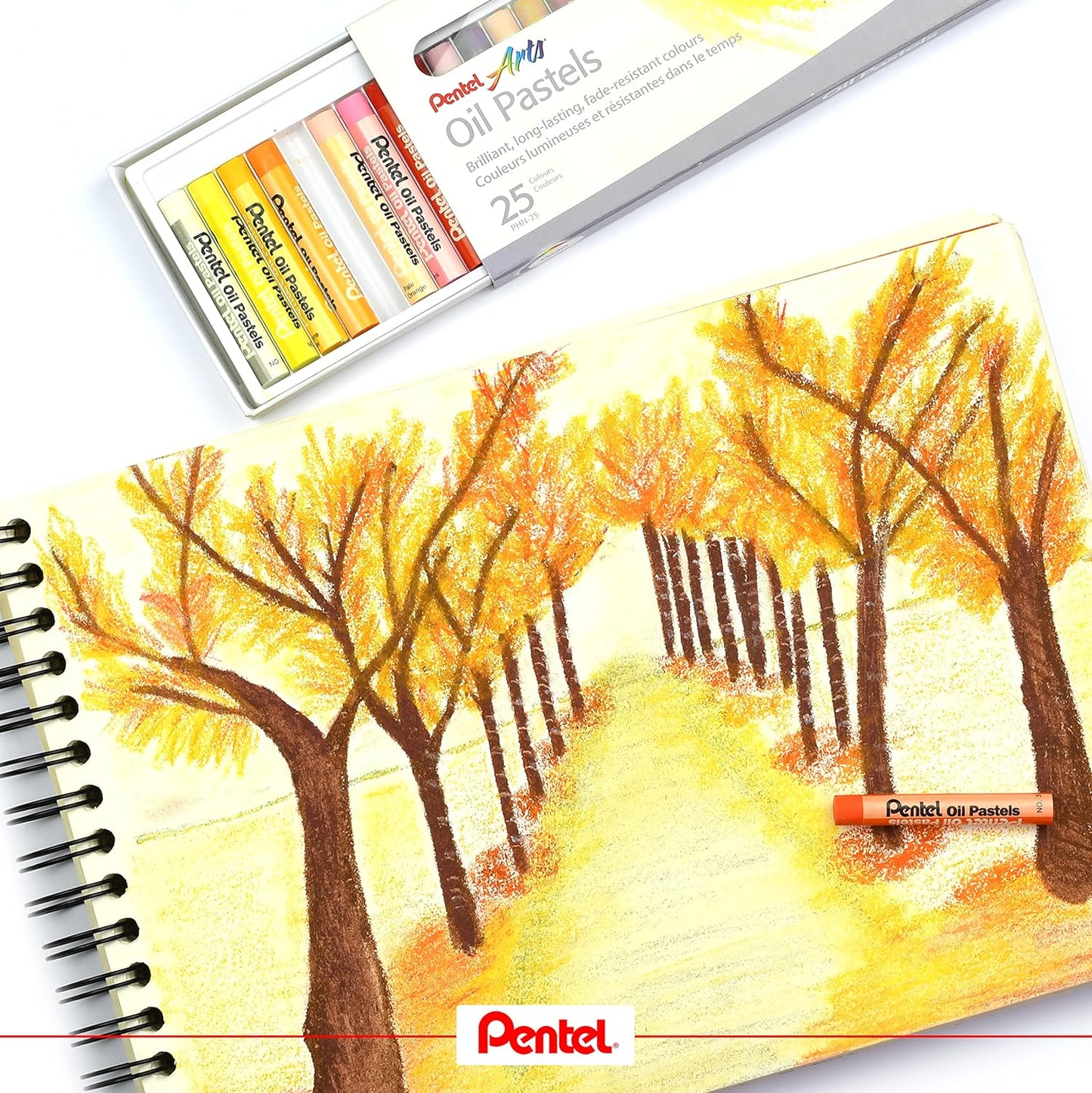 Ölpastellkreide, 25er Pack, 9 x 60 mm