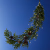 Lichterbündel BUNCH LIGHTS 60 LED 80 cm warm weiß, batteriebetrieben