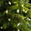 Lichterkette Vintage Lights Twinkle 360 LED 35,9 m warm weiß