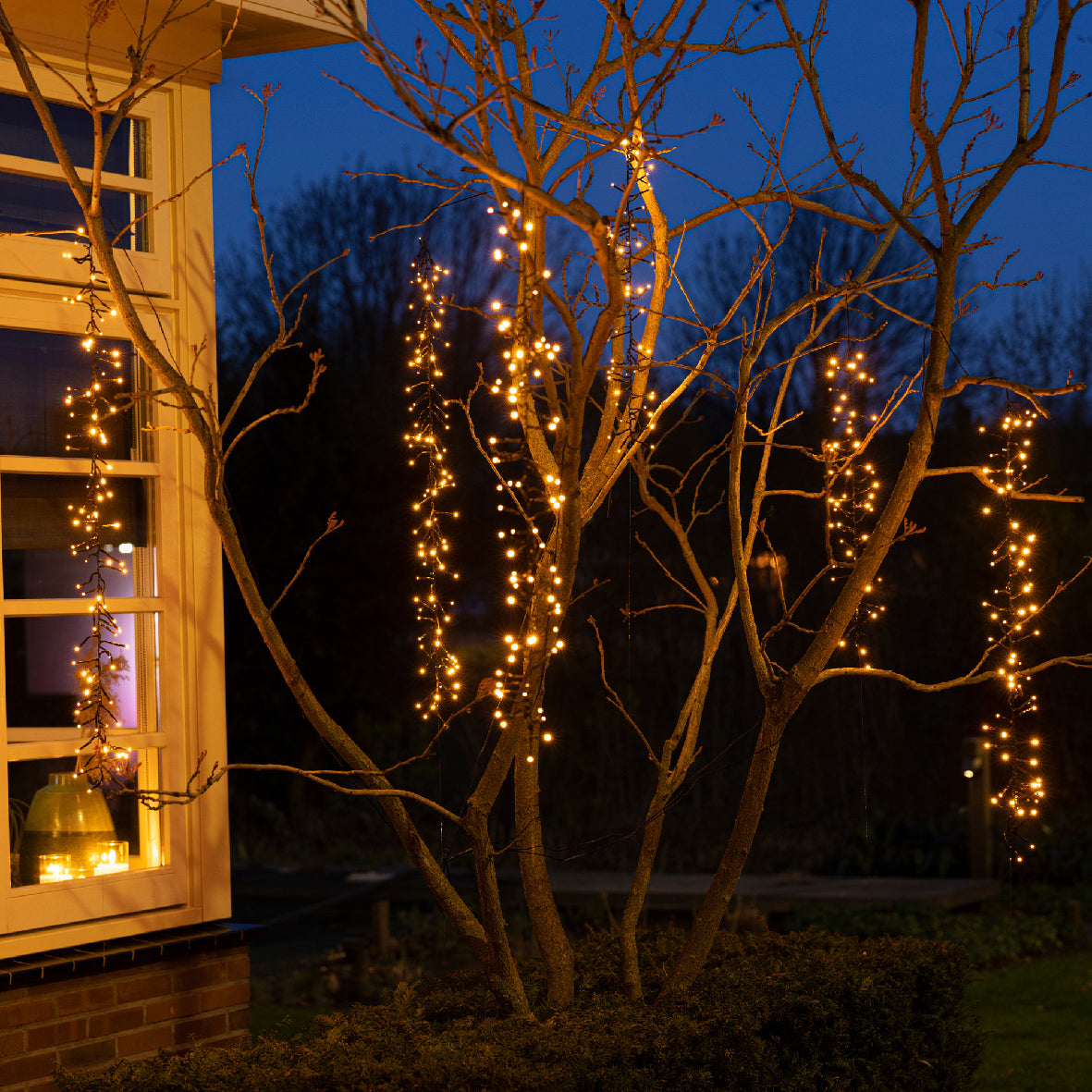 LED Baumbeleuchtung CLUSTER TWINKLE 480 LED, Soft Gold, 6 Licht-Stränge