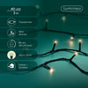 Lichterkette BASIC 40 LED 3 m warm weiß, schwarzes Kabel