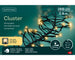 Lichterkette CLUSTER 288 LED 2,6 m Soft Gold, schwarzes Kabel