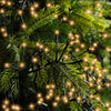 B-Ware Lichterkette CLUSTER 768 LED 7 m klassisch warm, schwarzes Kabel