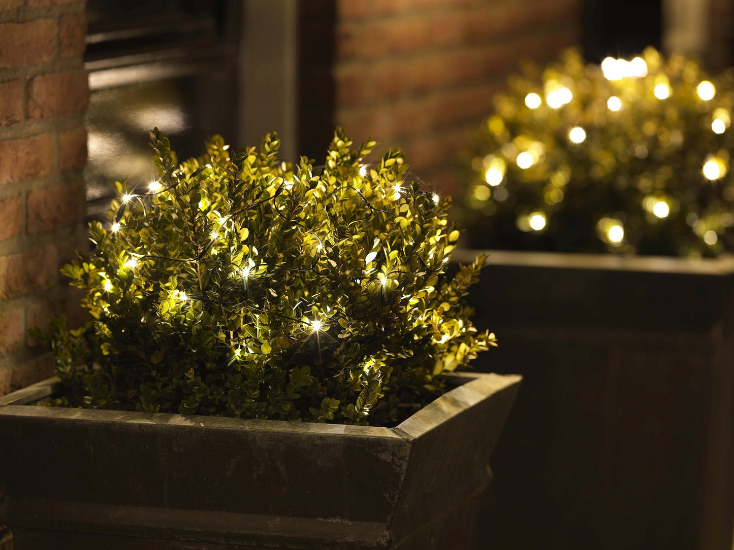 Buchsbaumbeleuchtung 120 LED D: 80 cm, warm weiß, grünes Kabel