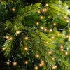 Lichterkette COMPACT 500 LED 11 m klassisch warm, grünes Kabel