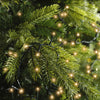 Lichterkette COMPACT 750 LED 16 m klassisch warm, grünes Kabel