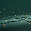 Lichterkette BASIC 120 LED 12 m, Soft Gold, grünes Kabel