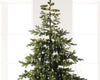 Lichterbündel BUNCH LIGHTS 640 LED 1,9 m warm weiß, Silberdraht