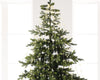 B-Ware Lichterbündel BUNCH LIGHTS 640 LED 1,9 m warm weiß, Silberdraht