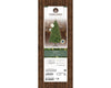 Künstlicher Weihnachtsbaum KENNMORE FIR 210 cm, beleuchtet