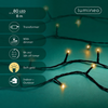 Lichterkette BASIC 80 LED 6 m Soft Gold, schwarzes Kabel