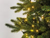 Lichterkette COMPACT 1000 LED 22,5 m klassisch warm, grünes Kabel
