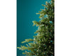 B-Ware Lichterbündel BUNCH LIGHTS 640 LED 1,9 m warm weiß, Silberdraht