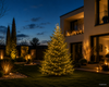 Lichterkette COMPACT 1000 LED 22,5 m, Soft Gold, grünes Kabel