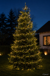 Lichterkette COMPACT 1500 LED 34 m, Soft Gold, grünes Kabel