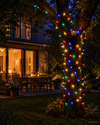 Lichterkette CHERRY Compact Twinkle 350 LED 7,5 m Bunt, schwarzes Kabel