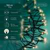 Lichterkette CLUSTER TWINKLE 768 LED 7 m warm weiß, schwarzes Kabel