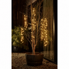 LED Baumbeleuchtung CLUSTER TWINKLE 480 LED, Soft Gold, 6 Licht-Stränge