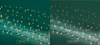 Lichterkette COMPACT 1500 LED 34 m Soft Gold, transparentes Kabel