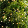 Lichterkette Compact 220 LED 5 m, 2-farbig: warm weiß/klassisch warm